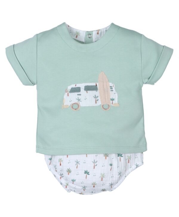 Conjunto Palmeras Niño