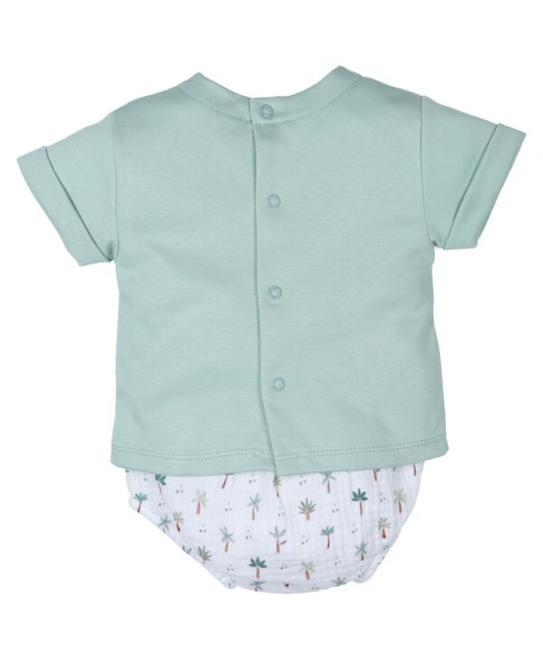 Conjunto Palmeras Niño - Imagen 2