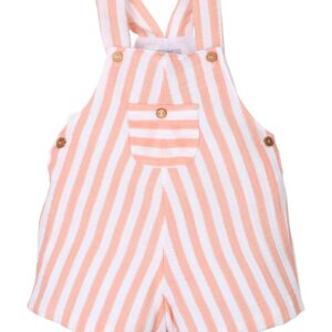 Peto Raya Naranja